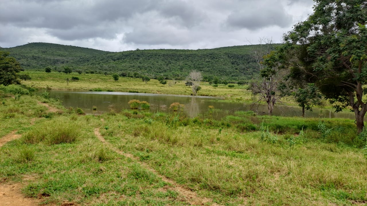 Recursos hídricos da fazenda