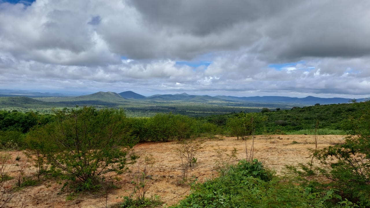Vista das Fazendas Reunidas